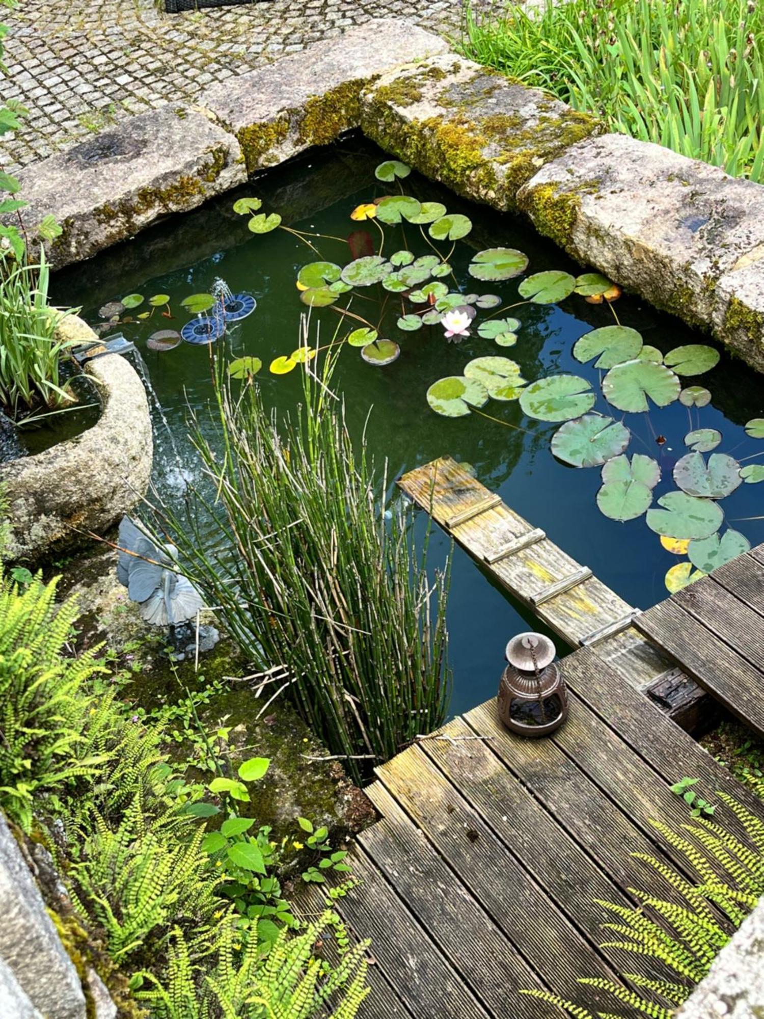 Chez Jallot Vidaillat Экстерьер фото