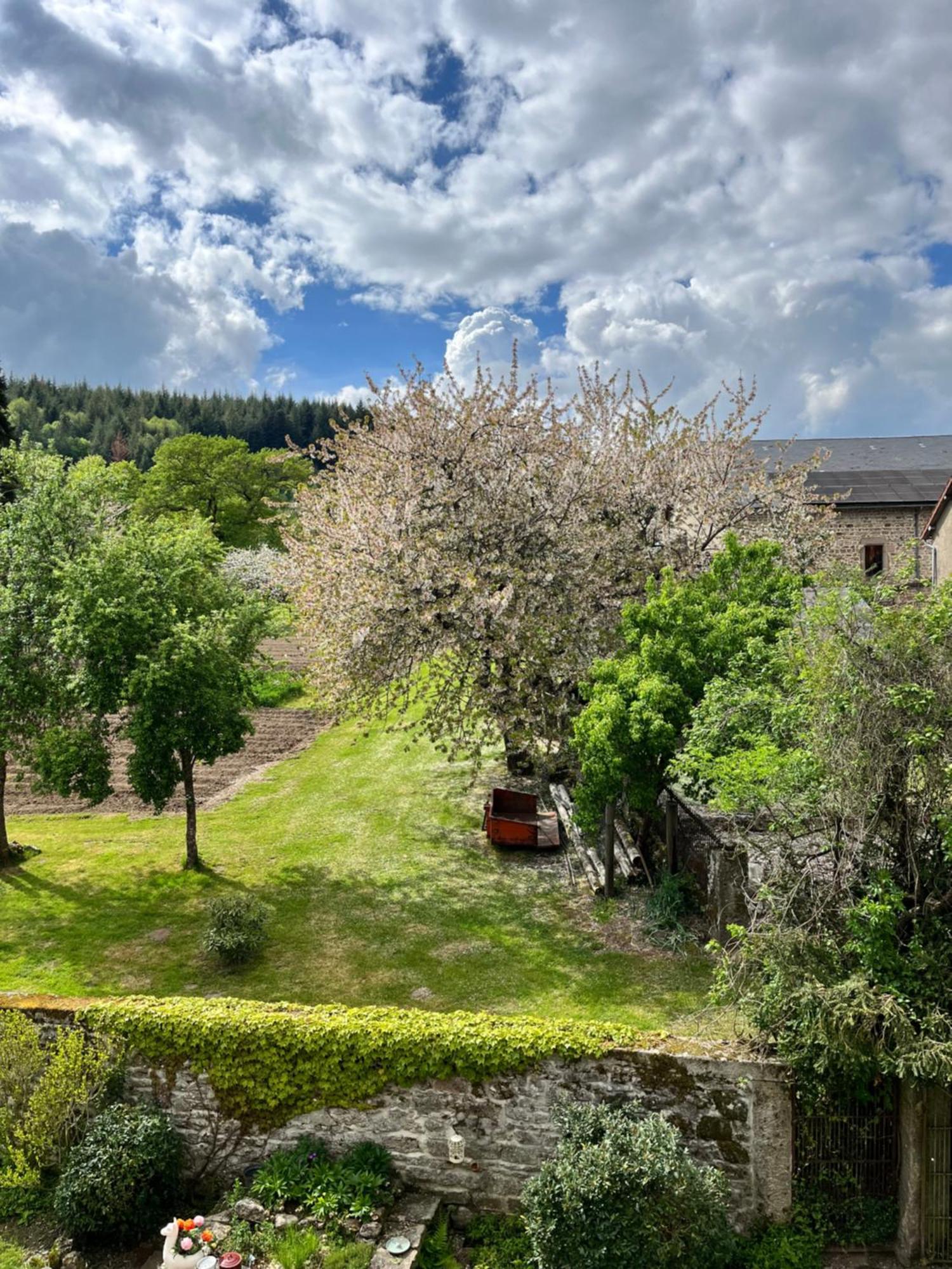 Chez Jallot Vidaillat Экстерьер фото